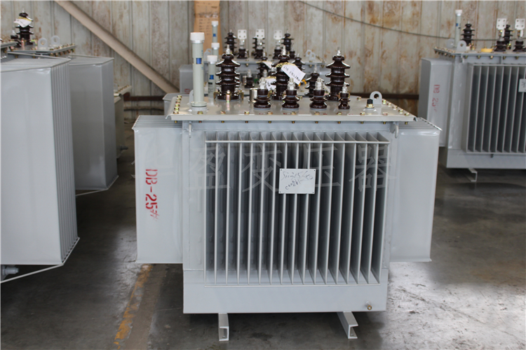 福建S20-800kVA/10kV/0.4kV变压器